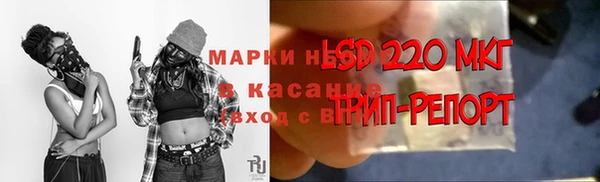 СК Богородицк