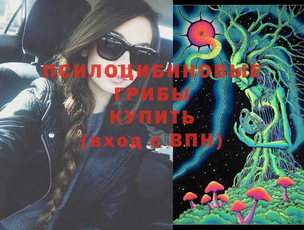 СК Богородицк