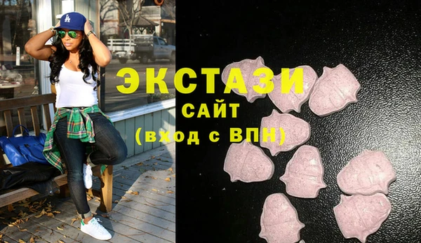 СК Богородицк