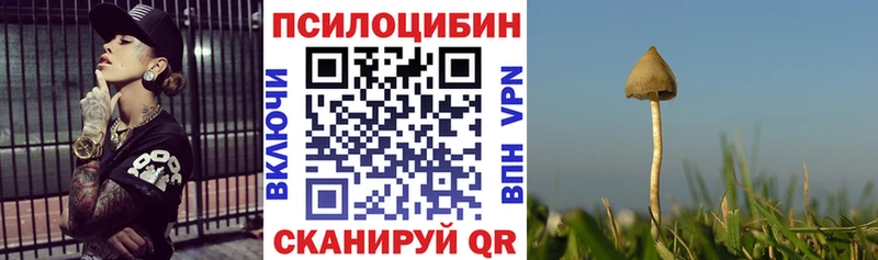 Псилоцибиновые грибы прущие грибы  Петрозаводск 